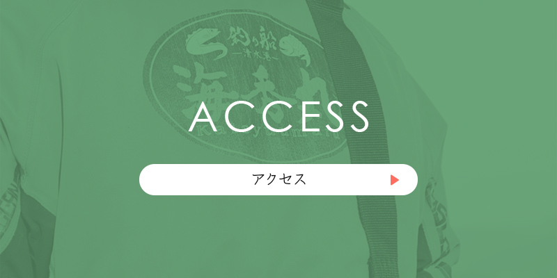banner_half_access_def